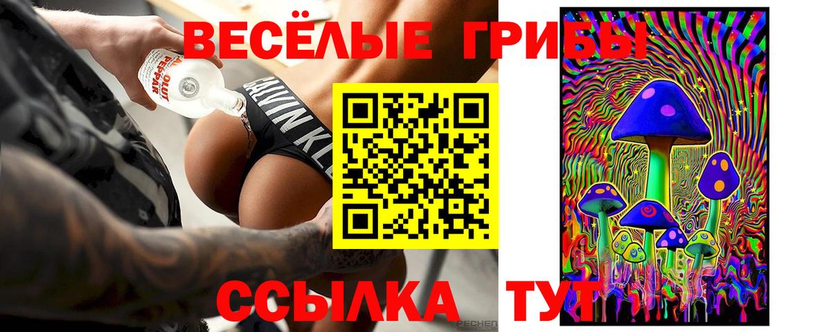 Псилоцибиновые грибы GOLDEN TEACHER  Вход с VPN  Галлюциногенные грибы MAGIC MUSHROOMS  Луховицы 